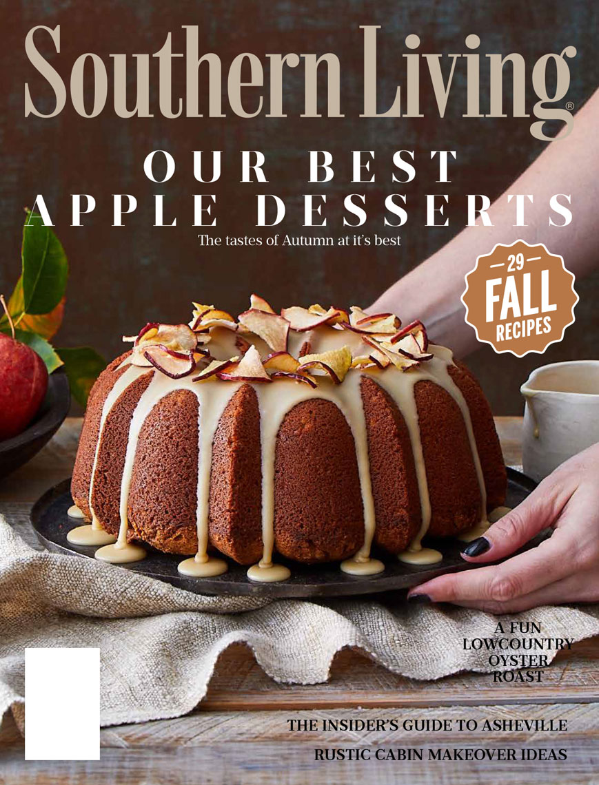 Bundt-covers-dragged-copy